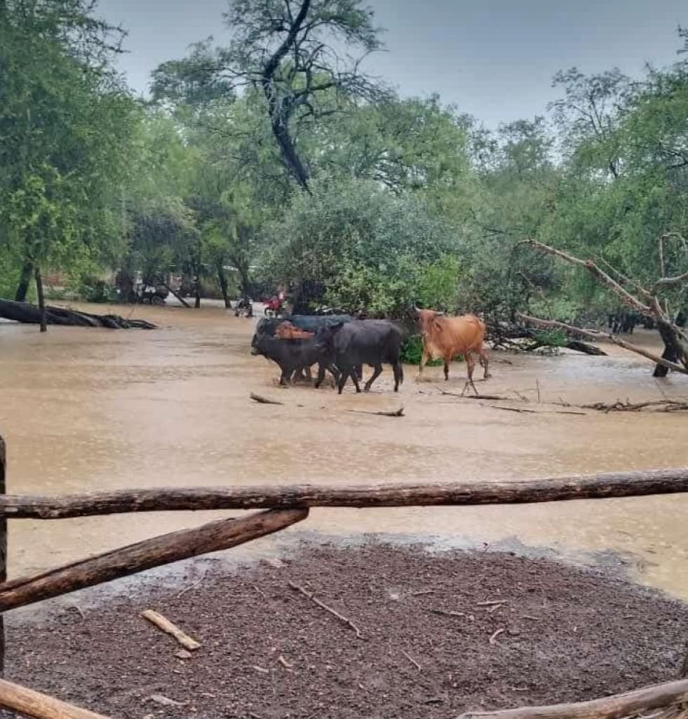 Desborde del Pilcomayo daña infraestructuras e impide acceso a comunidades