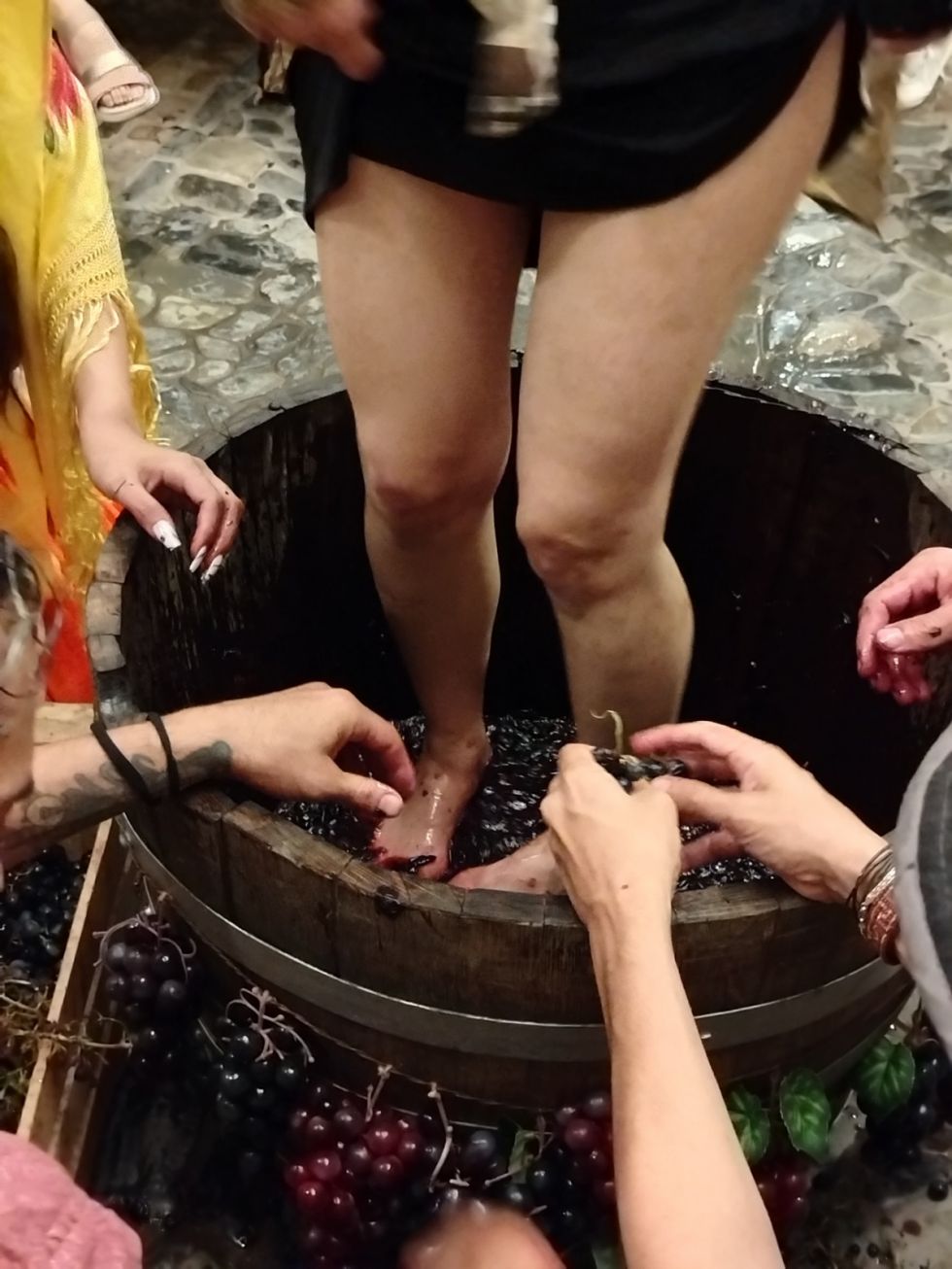 Pisando uvas para despertar memorias: Vendimia Chapaca en el Hostel Pata y Perro