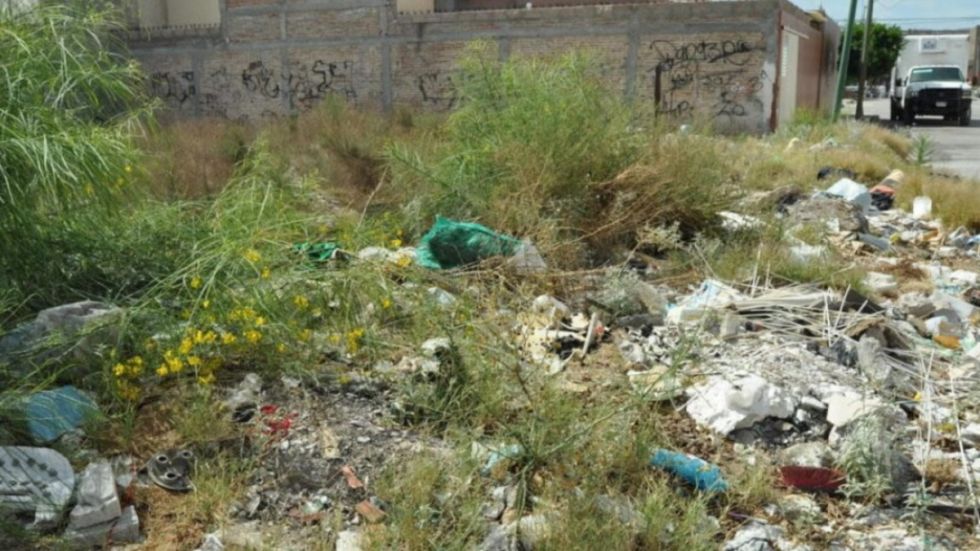 Concejo aprueba ley para la intervención de lotes baldíos 