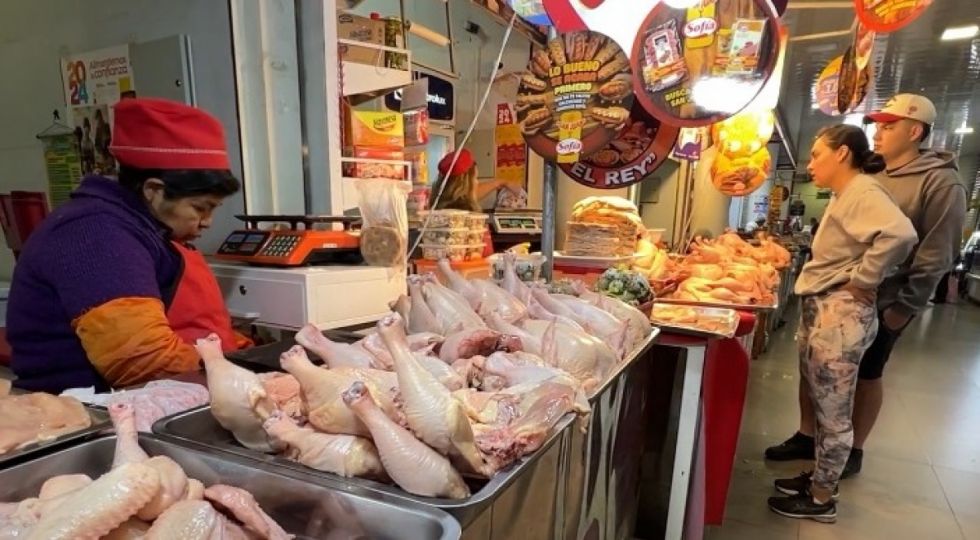 La escasez de pollitos bebés encarecerá la carne de pollo