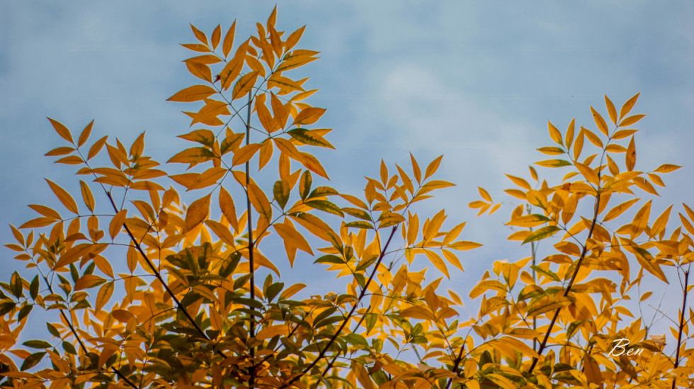Tres eventos para comenzar el otoño con energía