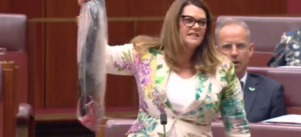 VIDEO: Senadora agita un salmón muerto en pleno debate parlamentario