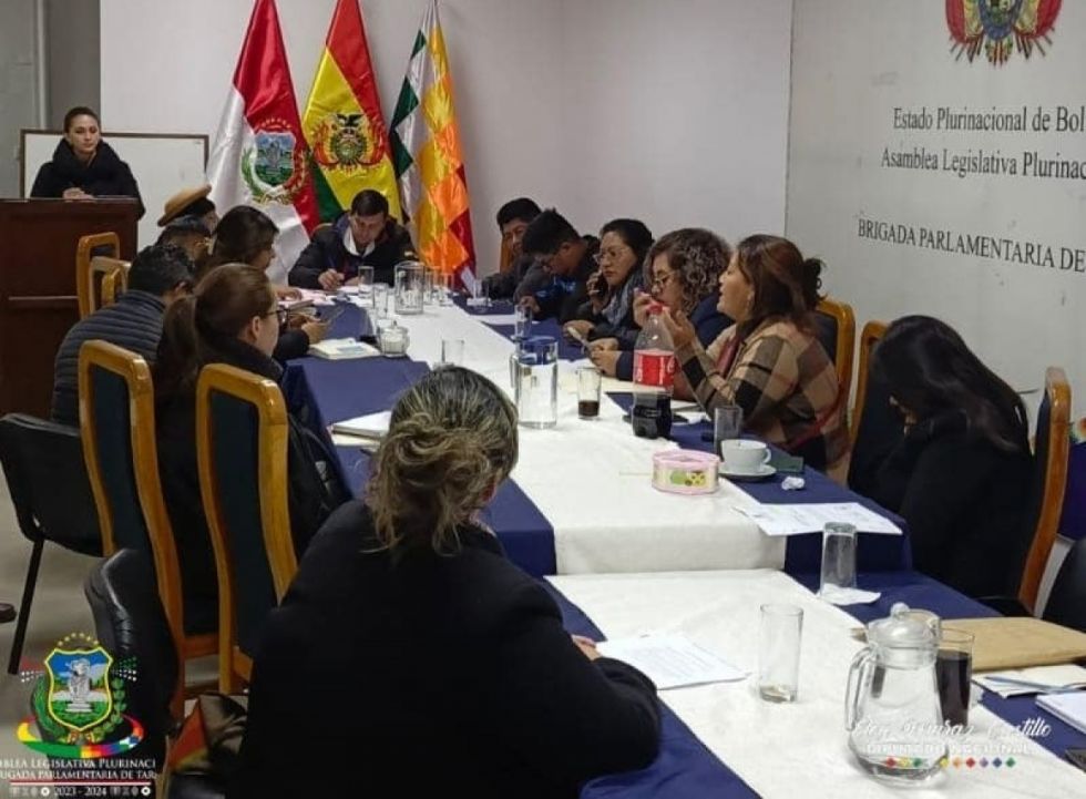 Brigada Parlamentaria estancada, no tiene presupuesto ni personal