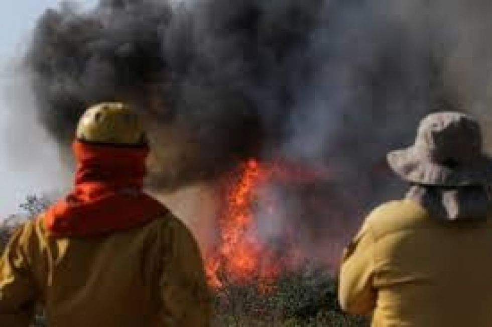 América Latina prepara nuevos planes climáticos mientras aumentan las emisiones