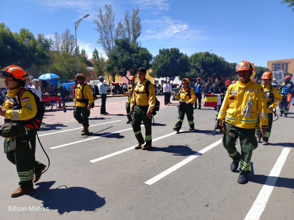 Búscate en el desfile del 15 de Abril (Fotos)