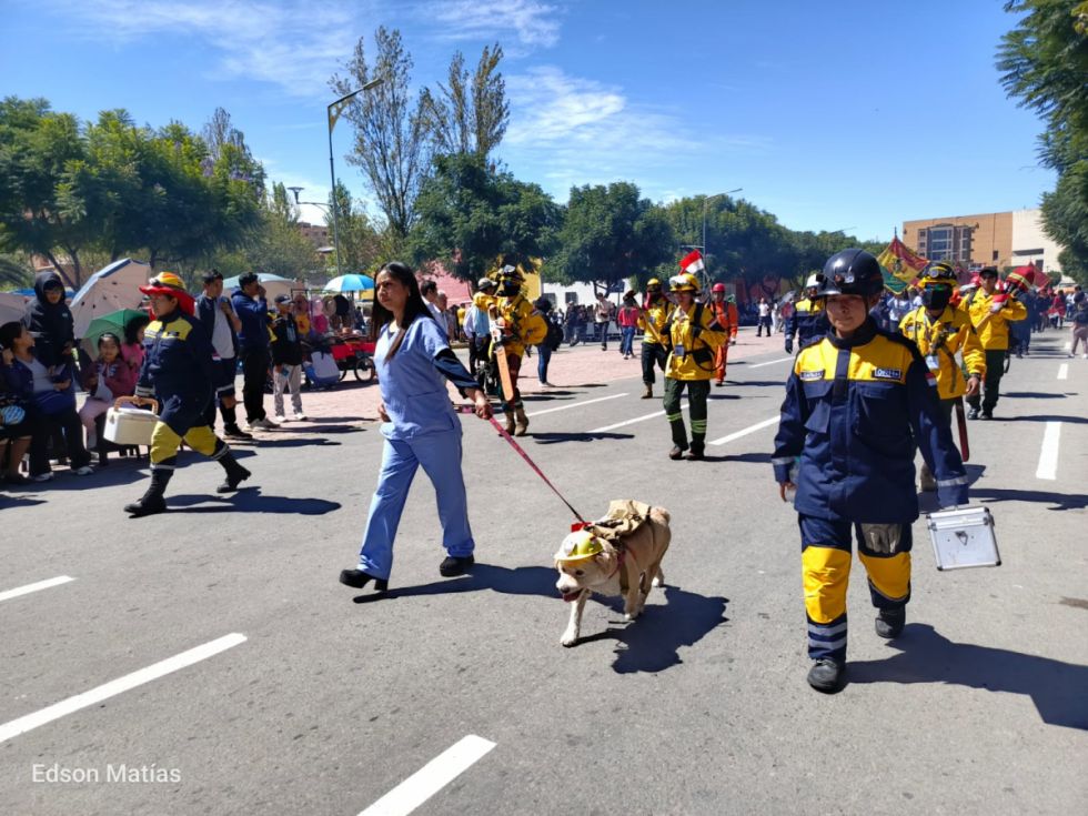 Búscate en el desfile del 15 de Abril (Fotos)