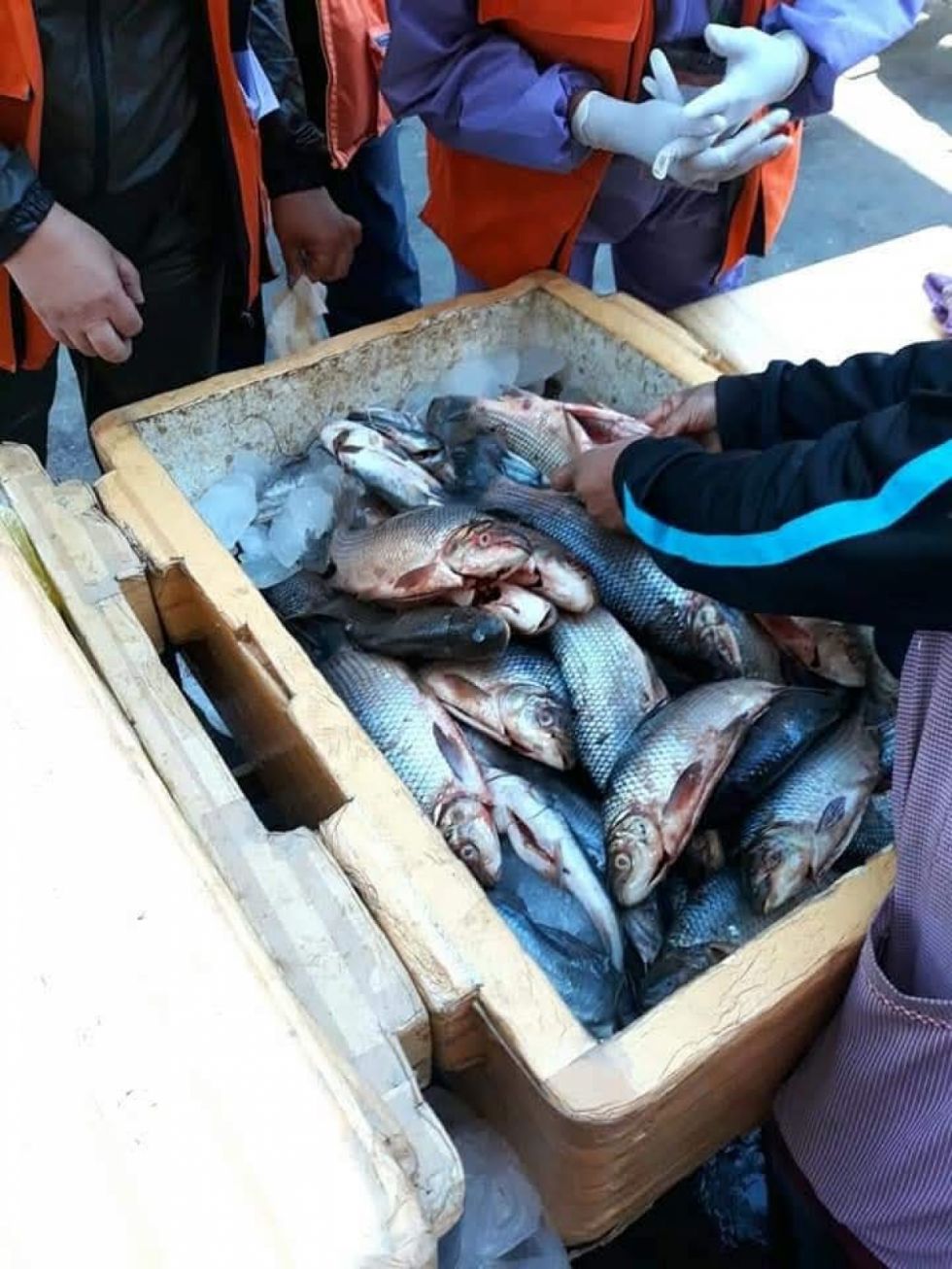 Hacen control a la venta de pescado, reportan leve baja de precio y balanzas adulteradas