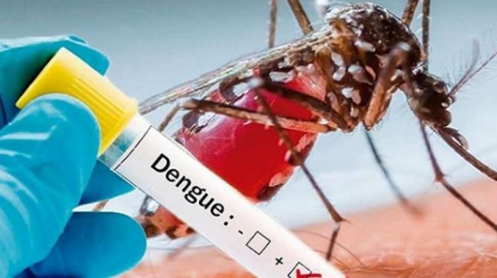 Disminuyen los casos de dengue en Tarija respecto a la gestión anterior
