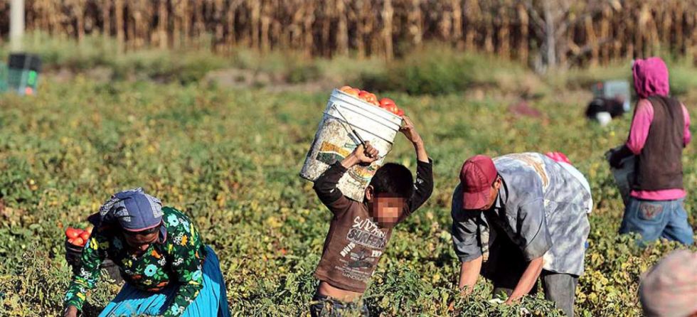 Investigan trata de menores con oferta de trabajo en Orán