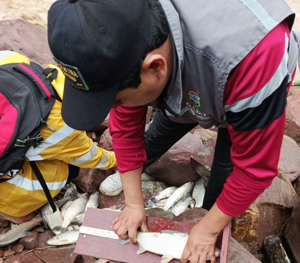 Tarija: Fijan para el 28 de abril el inicio del periodo de pesca