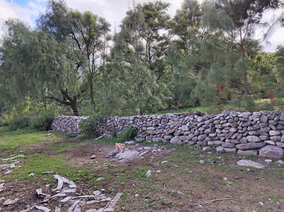 Cercos que predominan en el Rincón de La Vitoria
