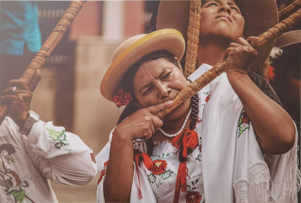 Fe de caña