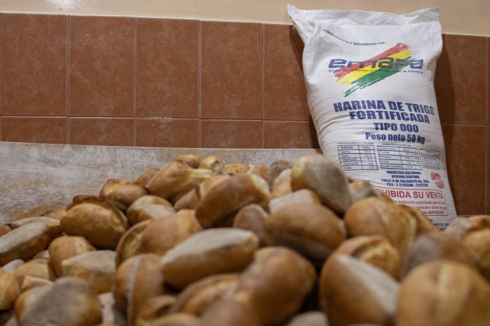 Descartan aumento en el precio del pan de batalla