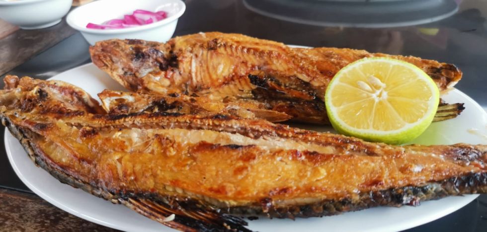 Tarija levanta la veda pesquera en el Pilcomayo