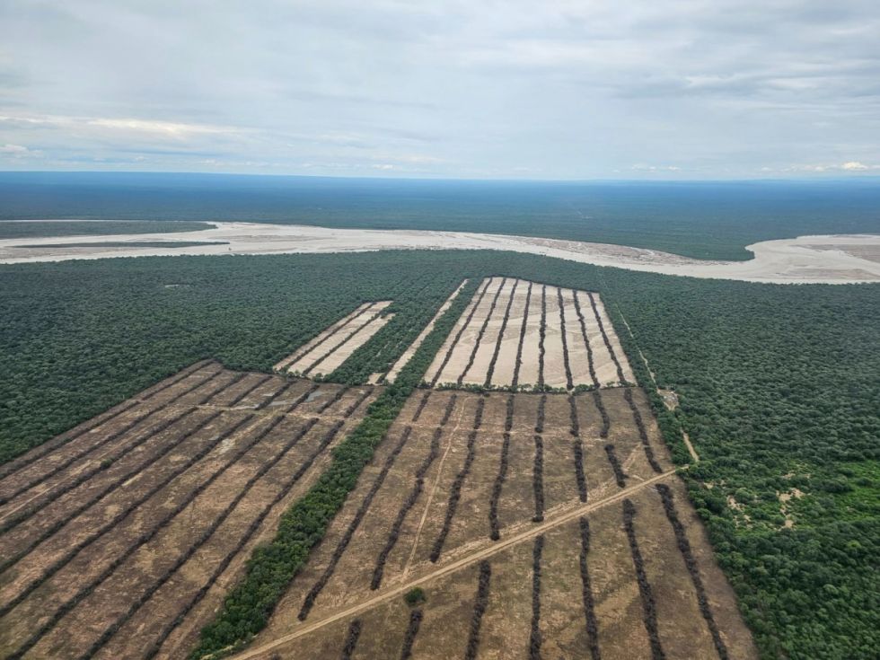 Chaco: Deforestación amenaza el equilibrio ecológico del Pilcomayo