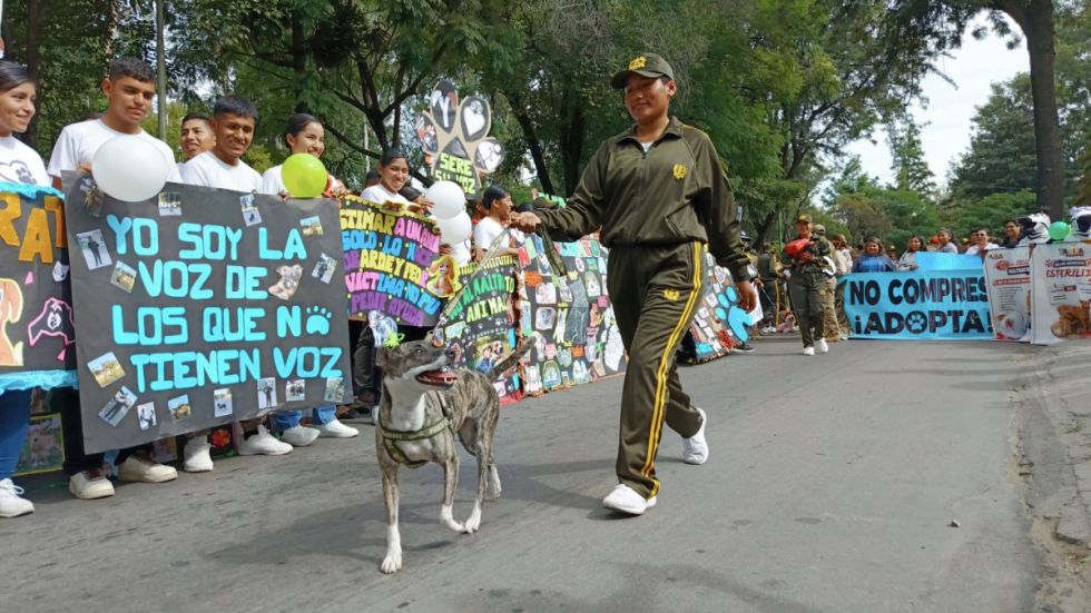 Realizan marcha en Tarija en defensa de los derechos de los animales