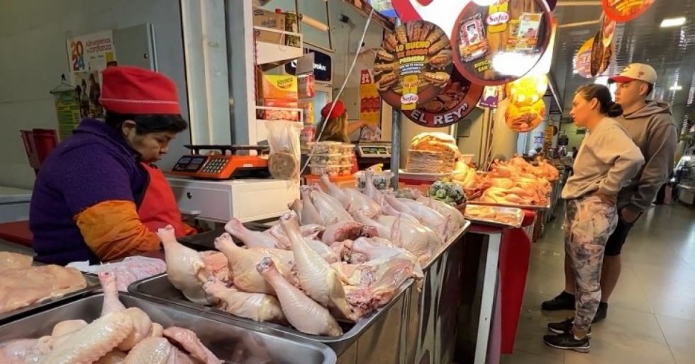 Tarija: Otra vez sube el precio del kilo de pollo