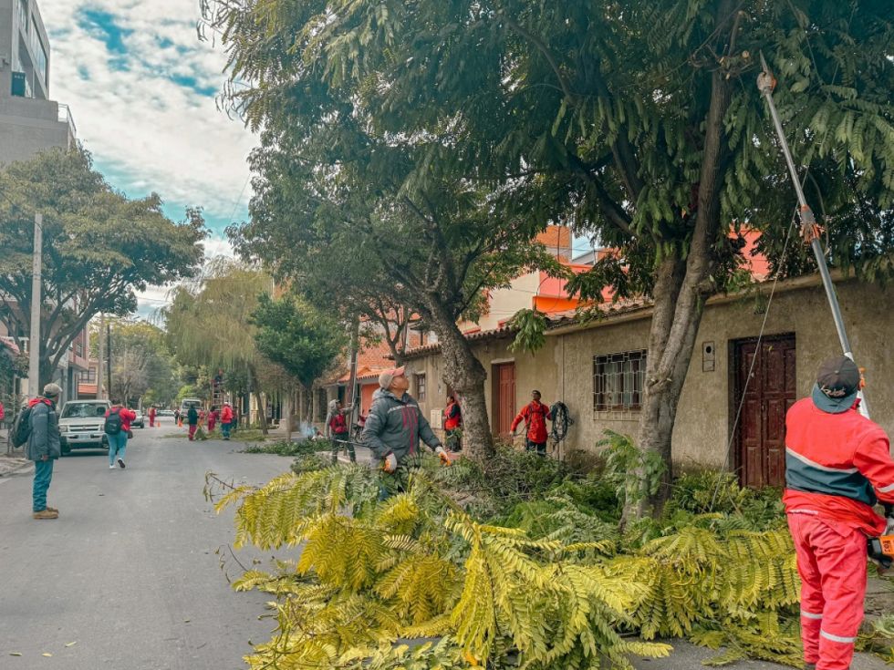La Alcaldía inicia la campaña de poda en los 13 distritos