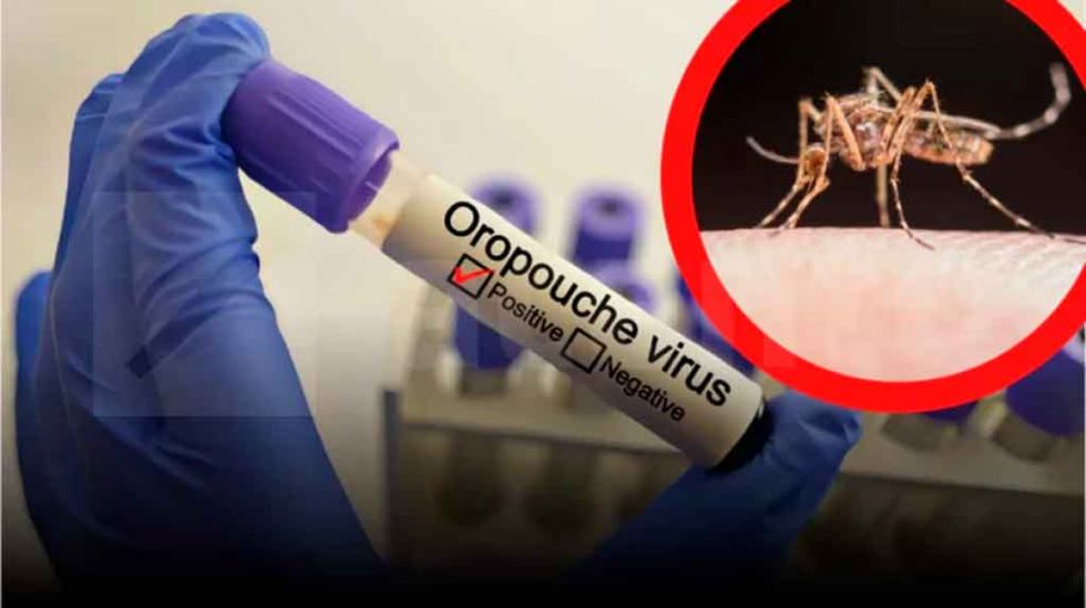 Uruguay registra casos importados de oropouche