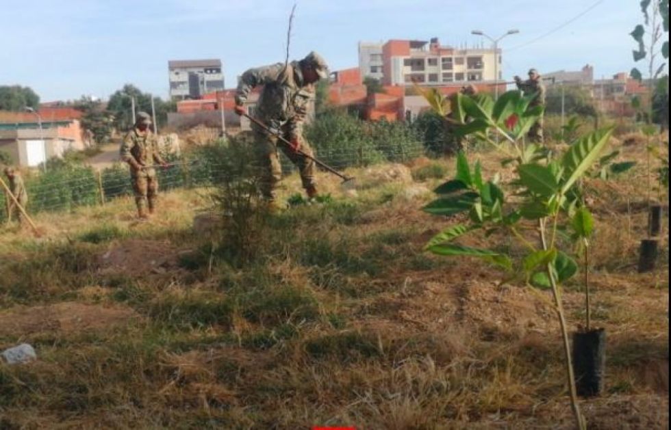 Tarija intensifica reforestación urbana con el plan “Tarija Verde Para Siempre”