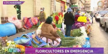 Bloqueo evista deja 8 toneladas de flores echadas a perder y pérdida Bs 13 millones en Cochabamba