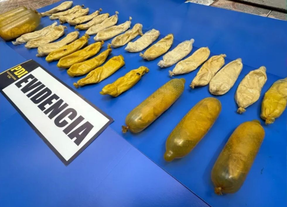 Muere un boliviano dentro de un bus en Chile con más de un kilo de droga en su estómago