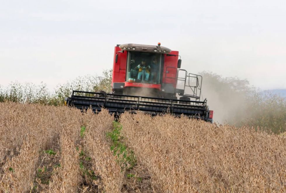 Inicia la cosecha de maíz y soya en Caraparí