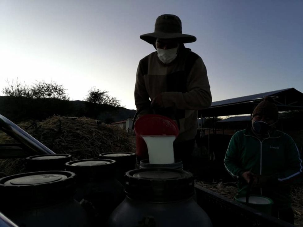 Lecheros exigen al Sedag retomar apoyo al sector retomar apoyo al sector