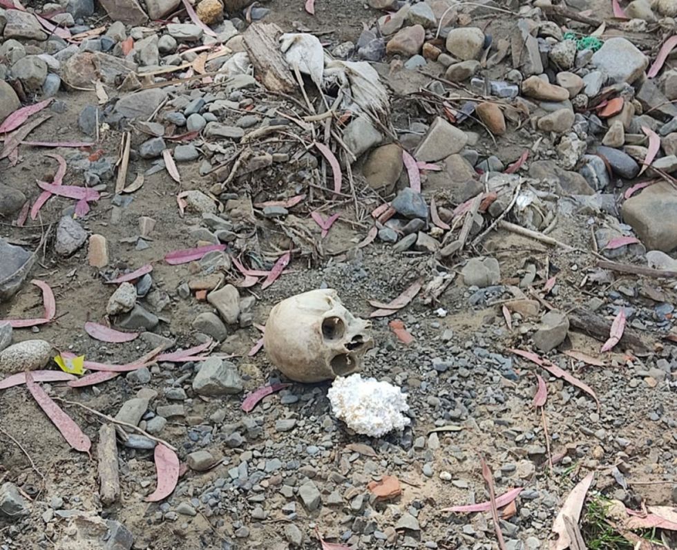 Hallan un cráneo humano cerca de la Curva del Diablo