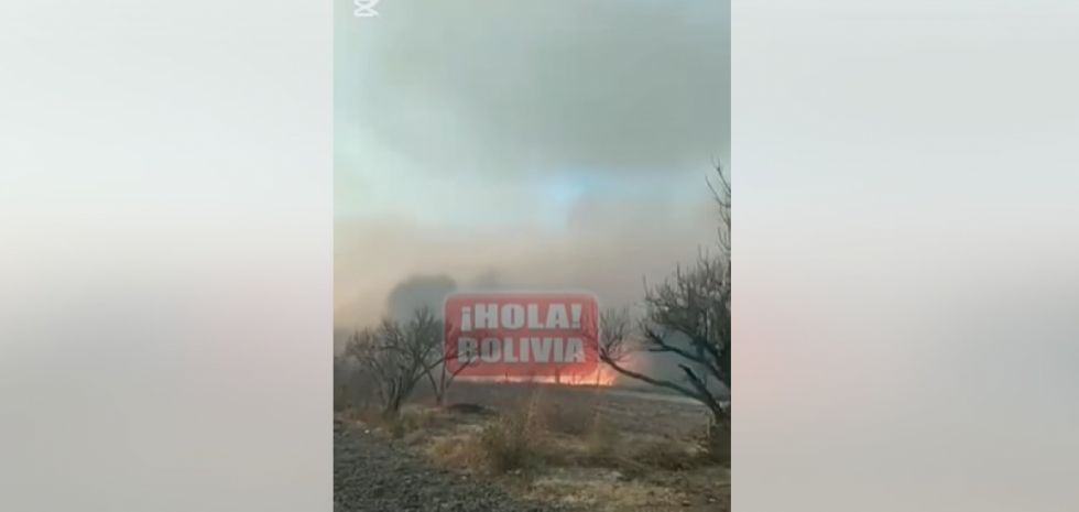 Controlan incendio de magnitud en Sella Cercado