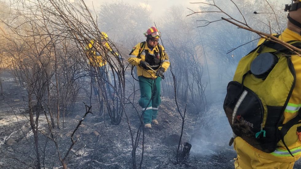 Cinco incendios movilizaron a Bomberos