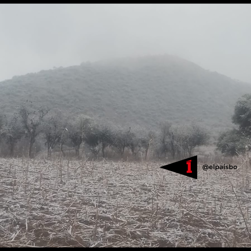 Cae nieve en Rosillas y toda Tarija registra frío extremo (Imágenes)