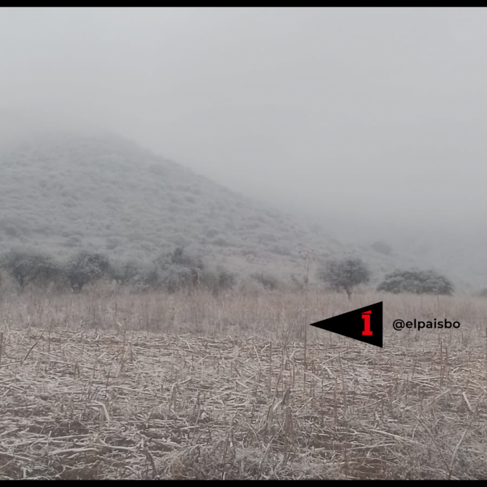 Cae nieve en Rosillas