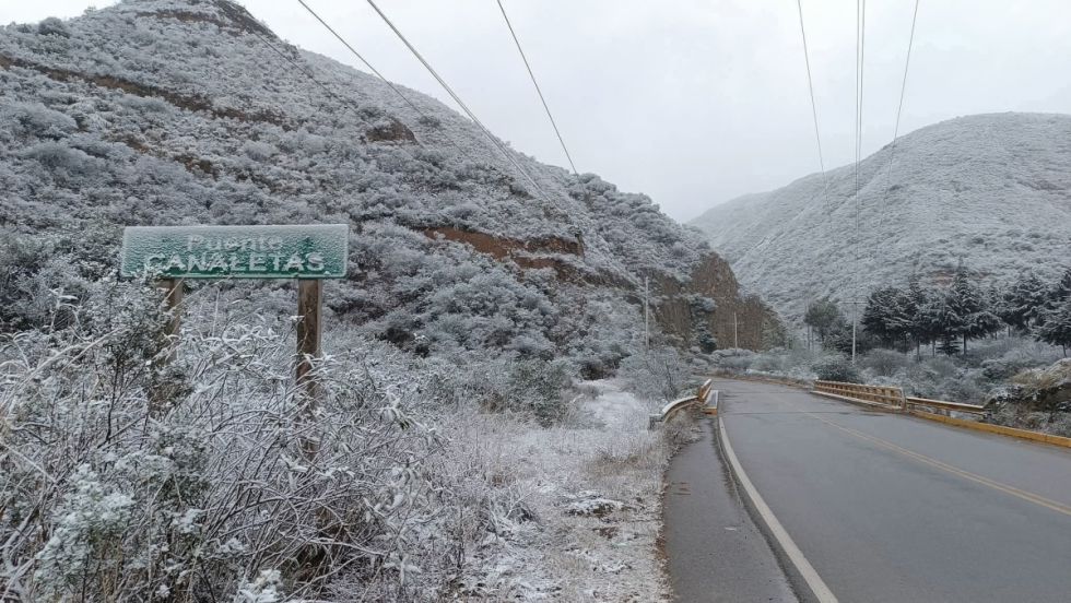 Entre Ríos alerta sobre posibles daños en cultivos por nevada y helada