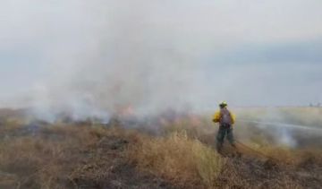 Bolivia registra 81 focos de calor
