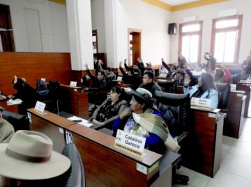 Aprueban ley para achicar la ALDT y suprimir a los subgobernadores