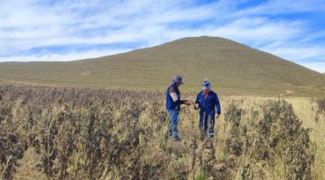 La sequía y la pobreza dejan a Yunchará sin población joven