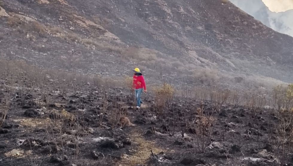 Comunarios y bomberos logran controlar el incendio en Padcaya 