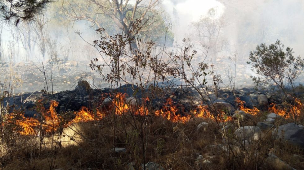 Incendio en Sama: Un comunario sufrió quemaduras, está en terapia intensiva  