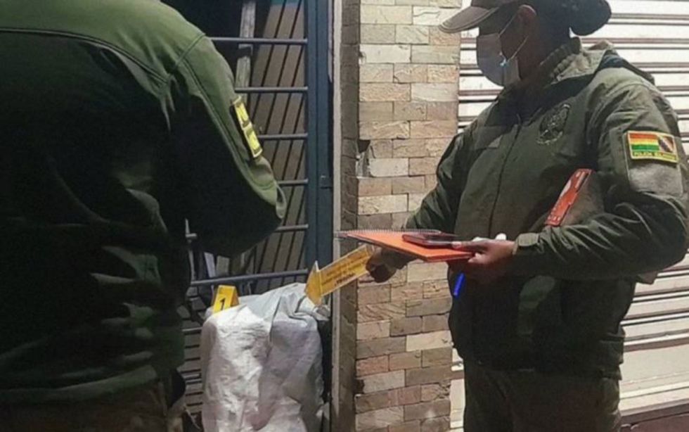 Hallan un gato sin vida dentro de una encomienda 