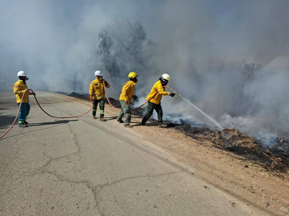Alcaldía de Tarija declara emergencia por el incendio en Sama 