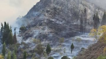Tarija: Confirman 2 heridos por incendio forestal en Sama