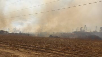 Tarija: Comunarios reportan incendio en Santa Bárbara-San Lorenzo