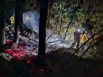 Se protegieron las fuentes de agua