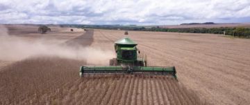 Bicentenario: Los 4 sectores que aportan 52% del PIB