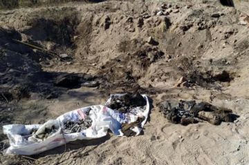 Hallan cuerpos calcinados en Pando
