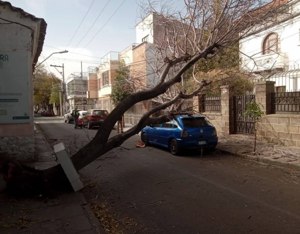 Tarija: Ventarrones movilizaron a varias unidades de emergencia