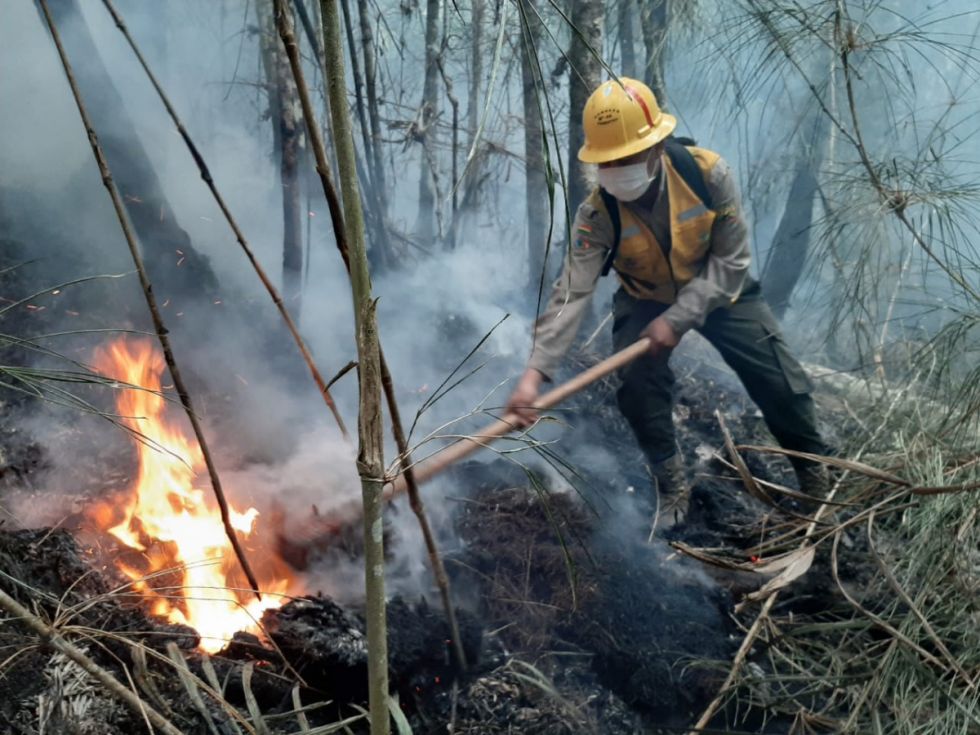 Estudio identifica causas y efectos de los incendios 
