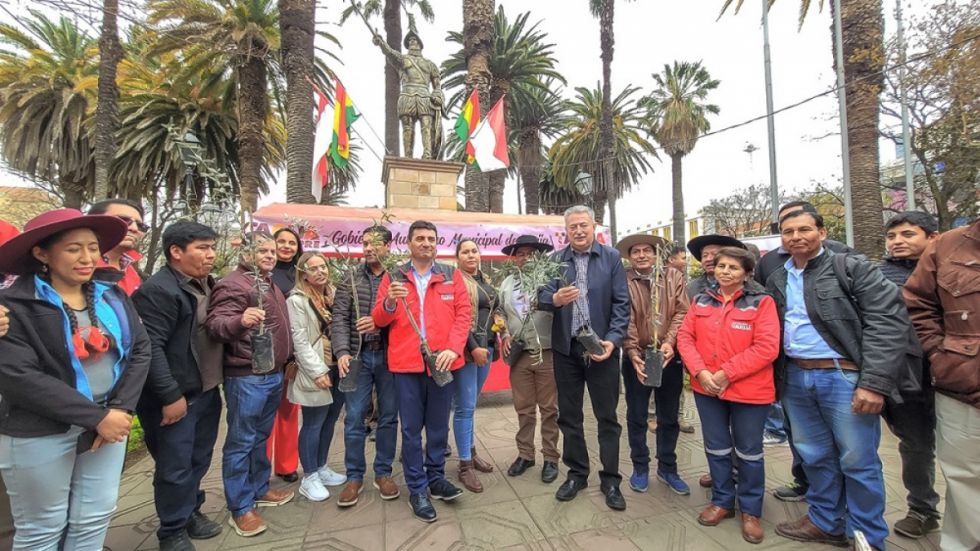 La Alcaldía distribuye plantines de olivo entre 18 comunidades 