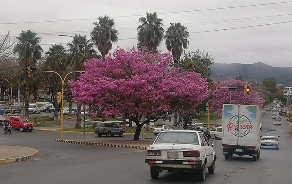Cantares de Nostalgia